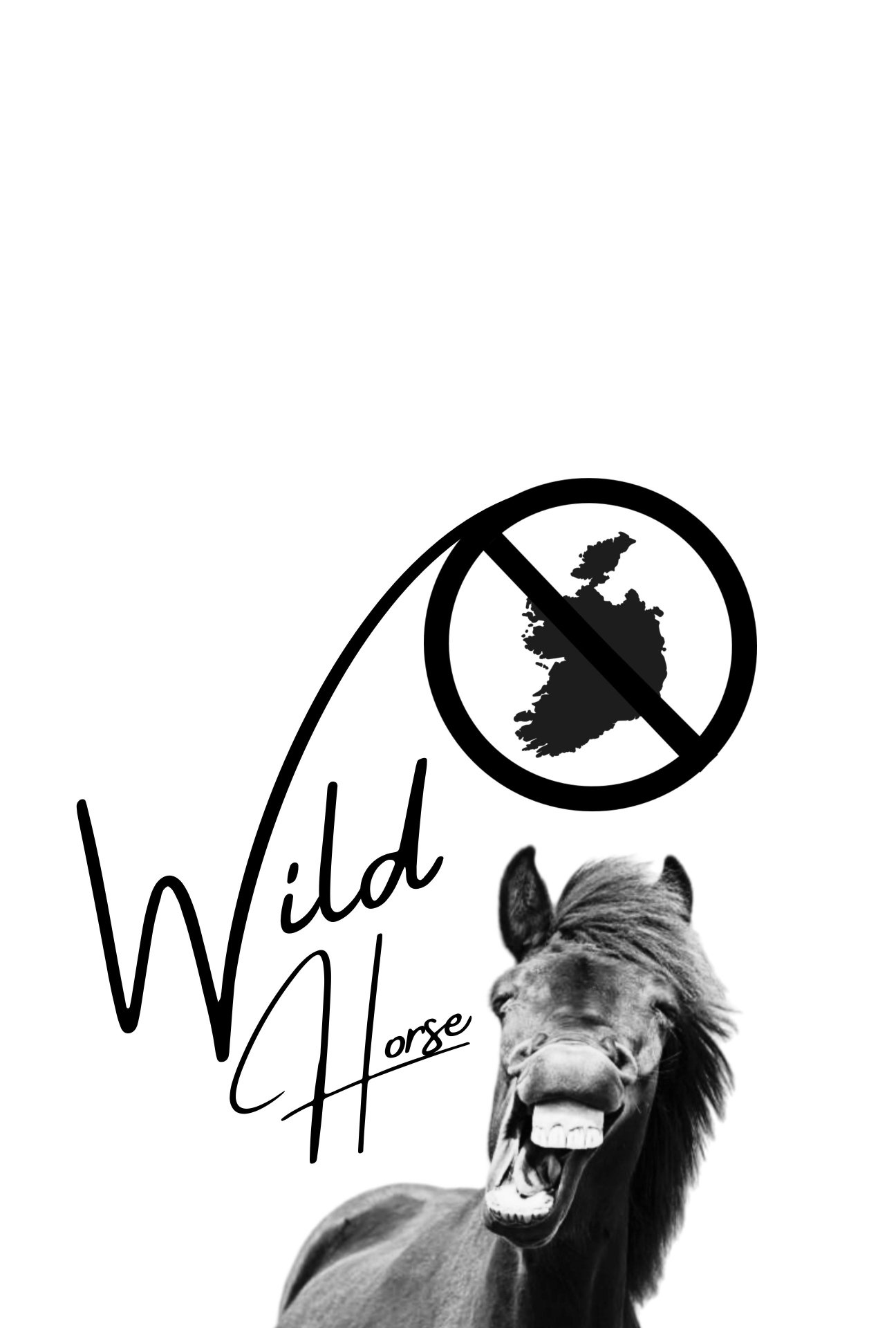 Постер Wild Horse Nine